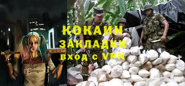 индика Алексин