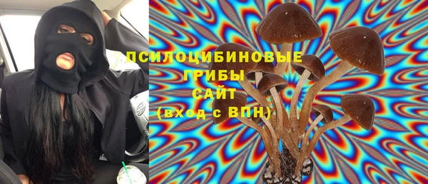 индика Алексин