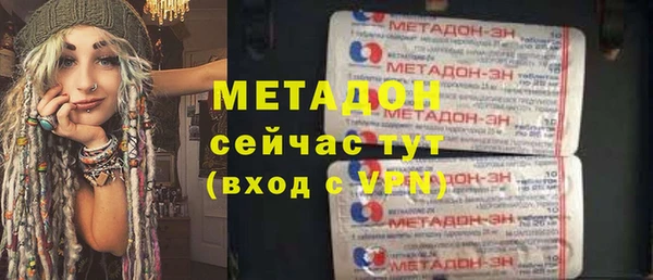 индика Алексин