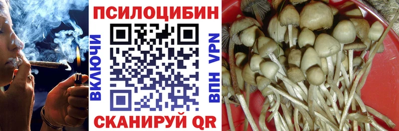 Галлюциногенные грибы Cubensis  сайты даркнета Telegram  Протвино 