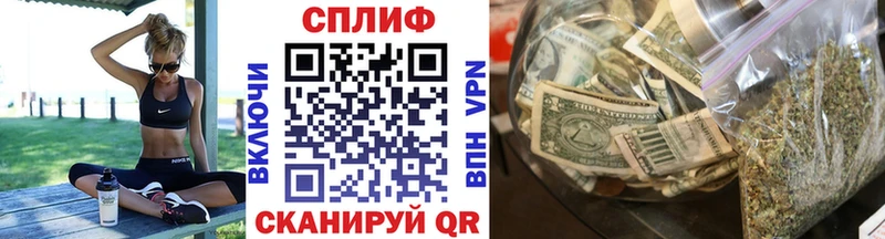 Конопля сатива  купить наркоту  Протвино 